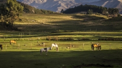 A City Tour of Cusco Peru by Bus