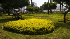 Parque del Amor