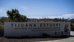 Tijuana River Estuary