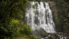 Marokopa Falls, New Zealand