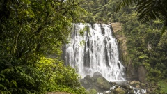 Marokopa Falls, New Zealand