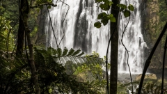 Marokopa Falls, New Zealand