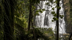 Marokopa Falls, New Zealand