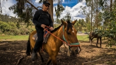 HB Maverick on Horseback