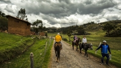 Horseback Riding