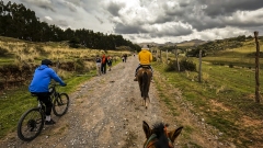 Horseback Riding