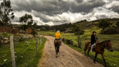 Horseback Riding