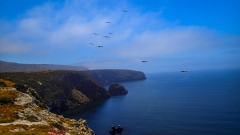 Channel Islands National Park