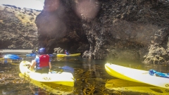 Kayaking to the Sea Caves