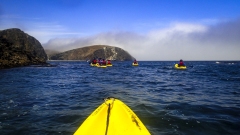 Kayaking to the Sea Caves