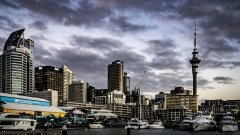 Auckland Skyline