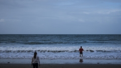 Waiheke Island Beaches