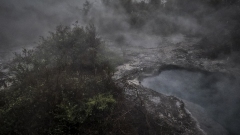 Whakarewarewa Geothermal Area