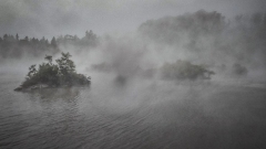 Whakarewarewa Geothermal Area