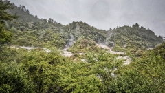 Whakarewarewa Geothermal Area