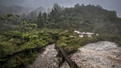 Whakarewarewa Geothermal Area