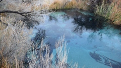 Ash Meadows National Wildlife Refuge
