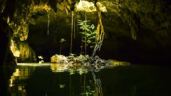 Hidden Cenote