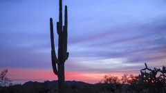 Arizona Sunset
