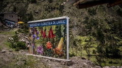 Lares Mountain Pass