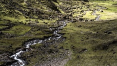 River below the Siete Cataratas