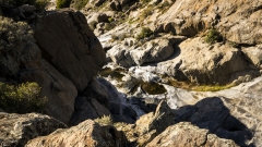 Kitchen Creek Falls