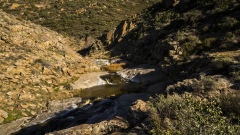 Kitchen Creek Falls