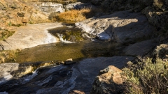 Kitchen Creek Falls