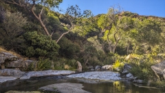 Kitchen Creek Falls