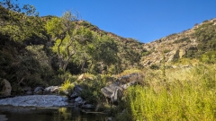 Kitchen Creek Falls