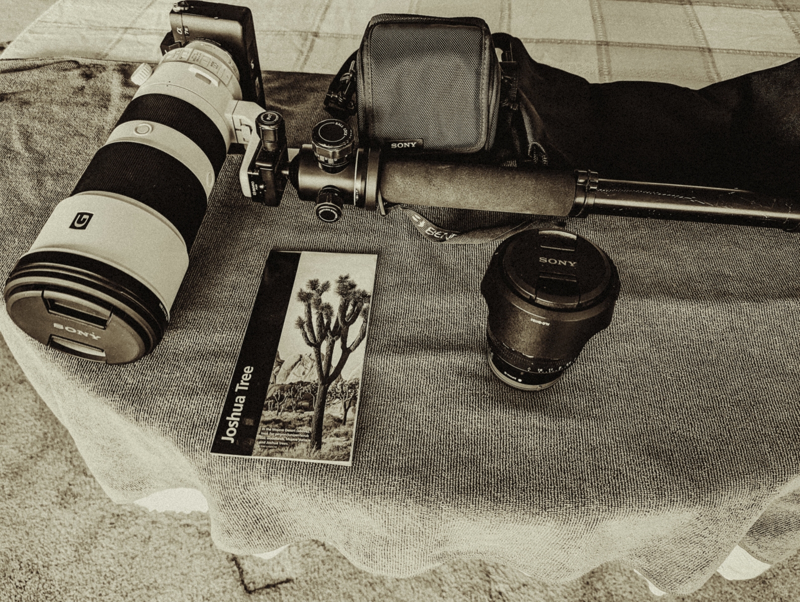 My Camera Gear
