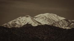 Joshua Tree National Park