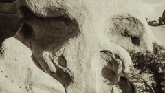 Skull Rock Skull Rock