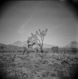 Double Exposure in the Desert