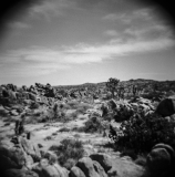 Joshua Tree National Park