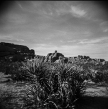 Joshua Tree National Park