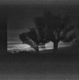 Dusk at Joshua Tree National Park