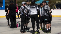 Referees on Skates