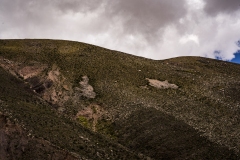 Andes Mountains