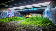 Street Art along the San Diego River Walk