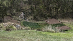 Chinchero