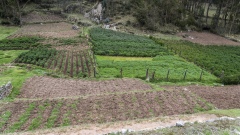 Chinchero