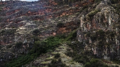 Pisac