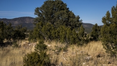 Puye Cliff Dwellings