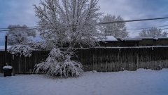 Snowing in Taos!