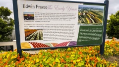 History of The Flower Fields