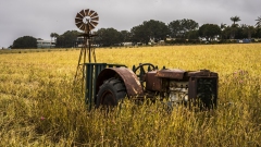 Antique Tractor and Windmill